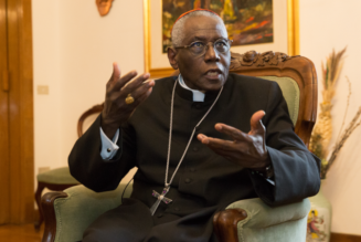 Cardinal Sarah : Nous sommes confrontés à une véritable cacophonie d’évêques et de prêtres