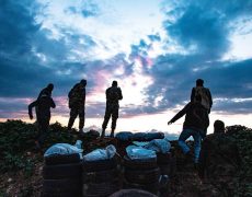 Le combat de Mhardeh