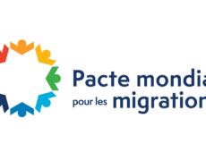 La Commission européenne va- t-elle rendre le pacte de Marrakech contraignant ?