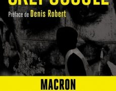 Le point commun entre Xavier Niel, Bernard Arnault et Arnaud Lagardère : Emmanuel Macron