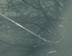 « Éternels » – le grand film publicitaire du Puy du Fou