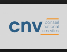L’islam dans les « quartiers » a son eunuque : le Conseil national des villes