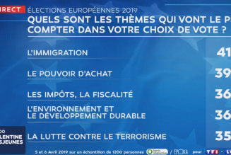Elections européennes : L’immigration est le sujet de préoccupation n°1 des Français