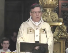 Quelle est la différence entre un tas de pierres et une cathédrale ? C’est la même différence qu’entre un amas de cellules et une personne humaine