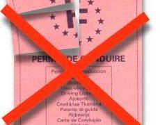 Vous allez aimer l’Union européenne : fin du permis de conduire à vie