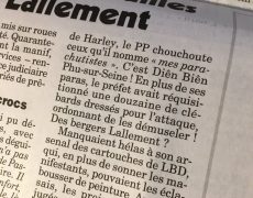 Des bergers Lallement contre les gilets jaunes ?
