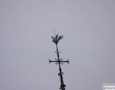 “On a retrouvé le coq de la flèche”