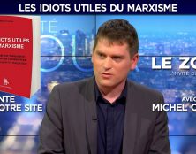 Michel Courbe : “Les idiots utiles du marxisme”