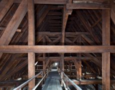 Les Coopératives Forestières offrent leurs chênes pour Notre-Dame de Paris