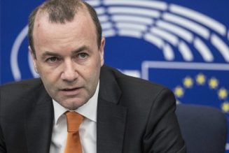PPE : le Fidesz retire son soutien à Manfred Weber pour la présidence de la Commission européenne