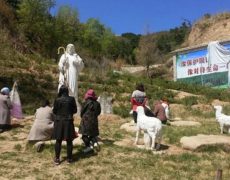 Chine: sit-in de catholiques pour empêcher la démolition de statues