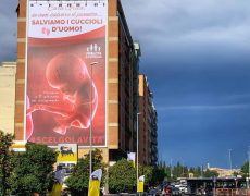 “Chère Greta, si tu veux sauver la planète… sauvons les petits d’homme !”