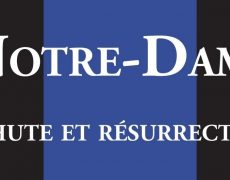 Ne laissons pas massacrer Notre-Dame !