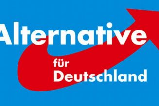 Allemagne : l’AFD remporte sa première mairie