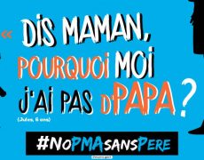 La PMA pour les lesbiennes, une priorité pour LREM