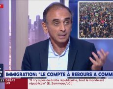 Zemmour : «Venez avec moi dans le métro, en banlieue, dans les villes du nord, du sud, à Rennes, Nantes, et vous allez comprendre si le Grand Remplacement n’est pas en marche. C’est tellement évident pour toute la France que ça ne fait rire que sur les plateaux télé.»