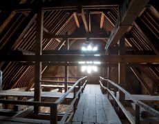 Etat des connaissances sur la charpente et les bois utilisés à Notre-Dame au XIIIe siècle