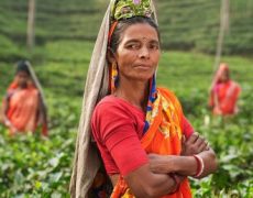 En Inde, des employées pauvres subissent des ablations d’utérus forcées