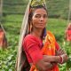 En Inde, des employées pauvres subissent des ablations d’utérus forcées