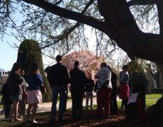 Le rosaire pour la vie les perturbe