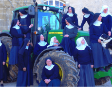 L’abbaye de Boulaur, ses vaches et son verger