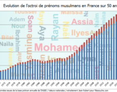 Grand remplacement : la preuve par les prénoms