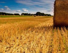 Crise agricole : le jeu de dupes de la FNSEA