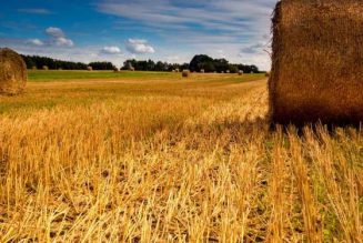 Alimentaire : Les paysans français meurent et les Français s’empoisonnent…