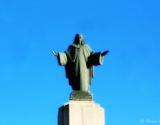 Le Sacré-Coeur de Guizay cherche une personne ou association pour son entretien