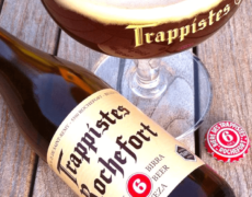 Rochefort 6 : les 5 infos à savoir pour briller