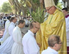 Les ordinations de prêtres dans les diocèses français en 2019