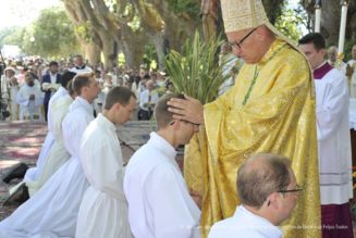 Les ordinations de prêtres dans les diocèses français en 2019
