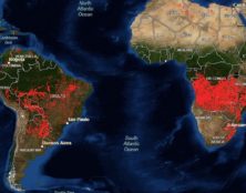 Feux de forêt en Amazonie : un prétexte pour s’en prendre à Jair Bolsonaro