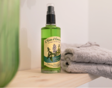 Eau d’Émeraude : le Guide Complet d’utilisation