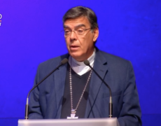Intervention de l’Eglise catholique en France contre le projet de loi sur la bioéthique : “nos responsables politiques restent aveugles”