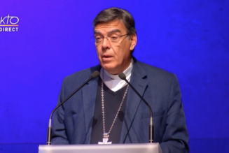 Intervention de l’Eglise catholique en France contre le projet de loi sur la bioéthique : “nos responsables politiques restent aveugles”