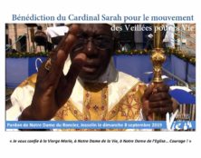 Le cardinal Sarah bénit les veillées pour la vie
