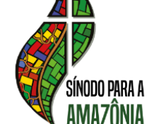 Synode sur l’Amazonie : les cardinaux Walter Brandmüller et Raymond Burke écrivent à tous les cardinaux