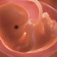 Du divorce au partage d’embryon congelé : la logique de la culture de mort