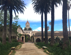 L’abbaye de Lérins : des liqueurs au bord de l’eau