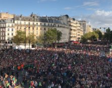 Elles détestent les OGM, mais elles ne cessent de trafiquer leurs corps