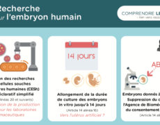 Infographie sur les graves enjeux du projet de loi sur la bioéthique