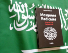 Salafistes “quiétistes/piétistes” sympas ?