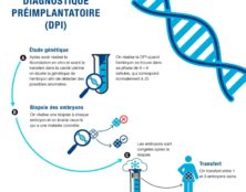 L’Assemblée abroge le diagnostic pré-implantatoire