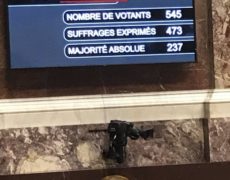 114 députés votent contre la loi de bioéthique