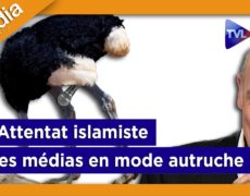 Manif anti PMA : la mauvaise foi des médias sur I-Media