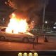 “L’oeuvre d’art” a été incendiée