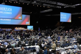Allemagne : 10ème congrès de l’AfD. Un exemple de parti politique démocratique