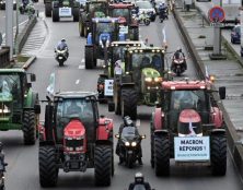 En Marche vers la mort du monde agricole