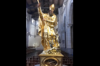 Remise à l’honneur des reliques du diocèse de Fréjus-Toulon